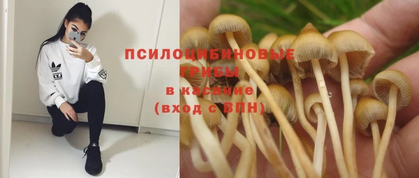 apvp Арсеньев