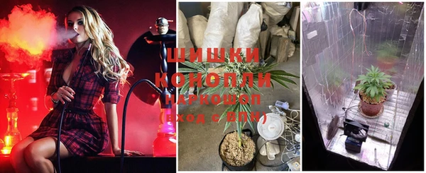 ГАЛЛЮЦИНОГЕННЫЕ ГРИБЫ Рославль