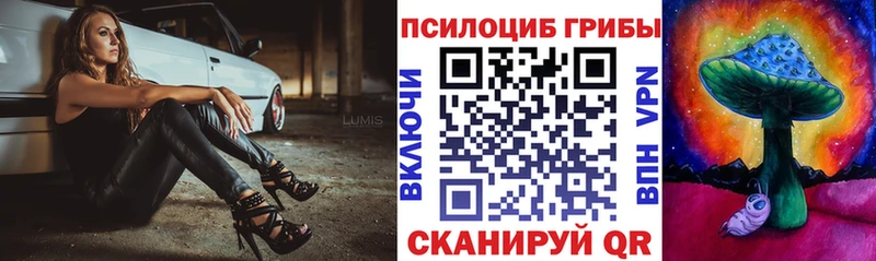где купить наркоту  Сенгилей  Галлюциногенные грибы мицелий 