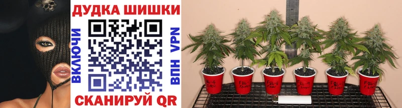 МАРИХУАНА Bruce Banner Сенгилей